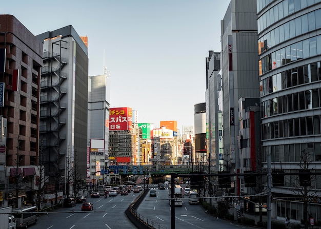 Asiatische Landarchitektur der Stadtlandschaft