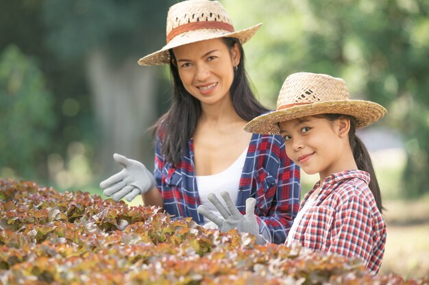 Asiatische Mutter und Tochter helfen zusammen, das frische hydroponische Gemüse auf dem Bauernhof, Konzeptgartenbau und Kindererziehung des landwirtschaftlichen Haushalts im Familienlebensstil zu sammeln.