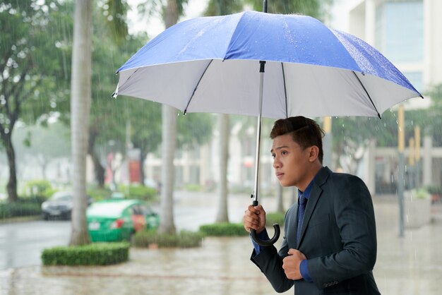 Asiatischer Geschäftsmann mit dem Regenschirm, der nach Taxi in der Straße während des Regens sucht