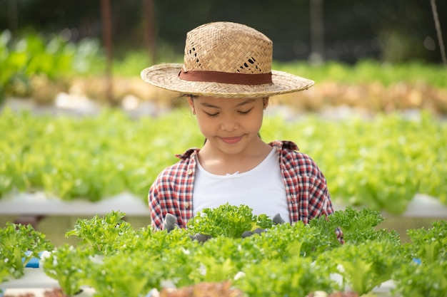 Asiatisches Kind, das Hydrokultur hält. kleines Mädchen in einem Gewächshaus, das Gemüse erntet. Kind mit salat.hydroponischer Hausanpflanzung und Landwirtschaft. junge weibliche Gartenarbeit Blattgemüse.Landwirtschaft.