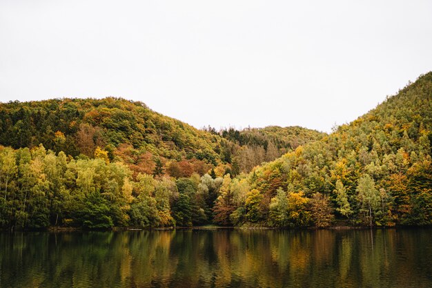 Atemberaubende Aufnahme eines Sees neben einem Gebirgswald im Herbst mit dem Himmel im Hintergrund