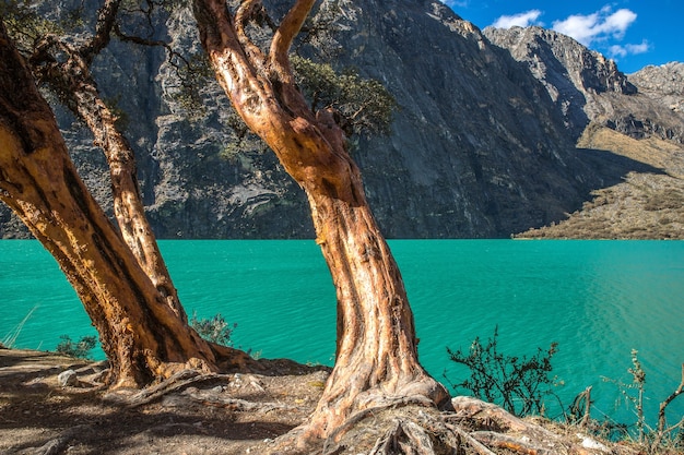 Atemberaubende Aussicht auf den klaren blauen Ozean und die Berge in Peru