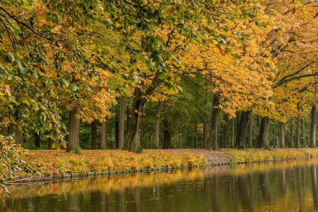 Atemberaubende Aussicht auf einen ruhigen Park mit See und Bäumen an einem hellen Tag