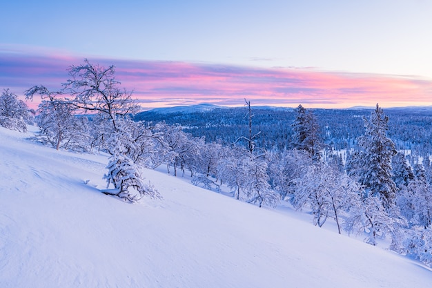 Atemberaubende Aussicht auf einen schneebedeckten Wald bei Sonnenuntergang in Norwegen in