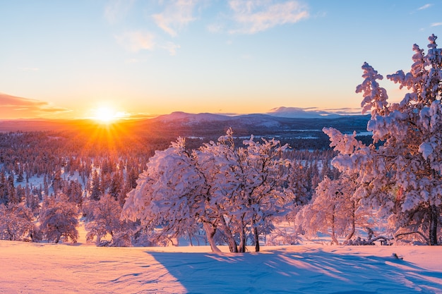 Atemberaubende Aussicht auf einen schneebedeckten Wald bei Sonnenuntergang in Norwegen