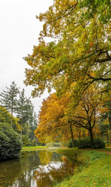 Atemberaubende Aussicht auf einen See und hohe Bäume in einem Park an einem kühlen Tag