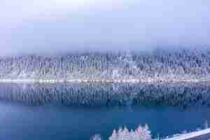 Kostenloses Foto atemberaubende aussicht auf wunderschöne schneebedeckte bäume mit einem ruhigen see unter einem nebligen himmel