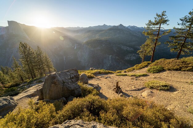 Atemberaubende erstaunliche Landschaft eines wunderschönen Waldes auf dem Land