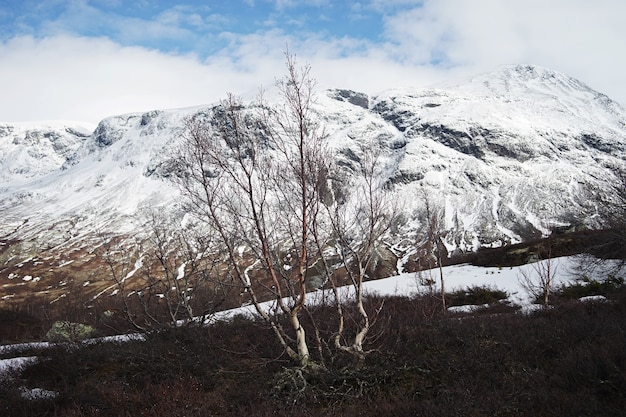 Kostenloses Foto atemberaubende landschaft von norwegen