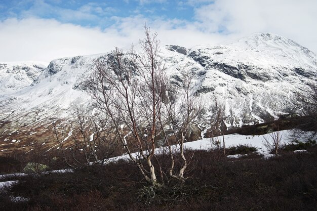 atemberaubende Landschaft von Norwegen