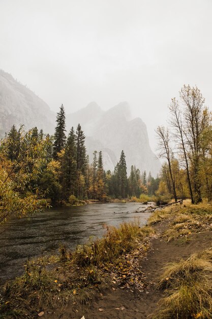 Atemberaubende vertikale Aufnahme der Landschaft des Yosemite-Nationalparks in Kalifornien, USA