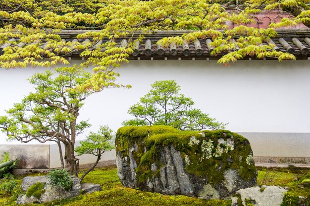 Atemberaubender Blick auf die moosbedeckten Felsen und Bäume in einem wunderschönen japanischen Garten