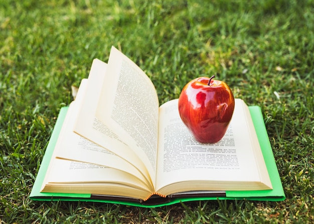 Aufgeschlagenes Buch mit Apfel an der Spitze auf grünem Rasen