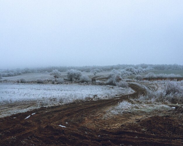 Aufnahme einer verschneiten Landschaft