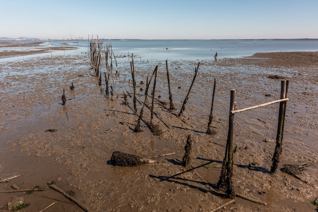 Kostenloses Foto aufnahme von pierresten in cais palafítico da carrasqueira, portugal