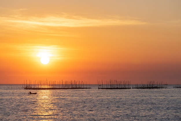 Austernbauernhof im Sonnenunterganghintergrund des Meeres und des schönen Himmels