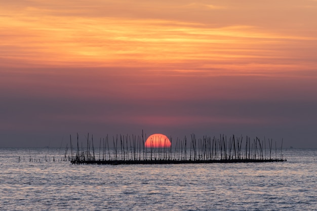 Austernbauernhof im Sonnenunterganghintergrund des Meeres und des schönen Himmels