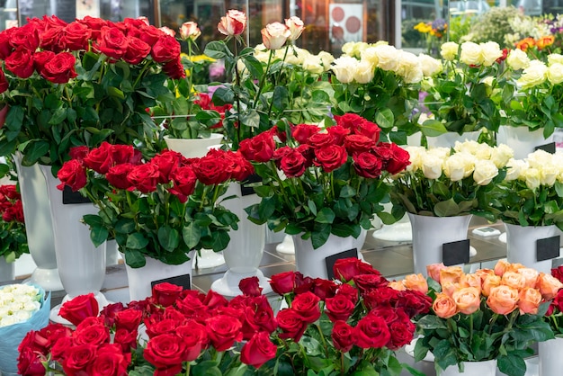 Auswahl an eleganten roten Blumen