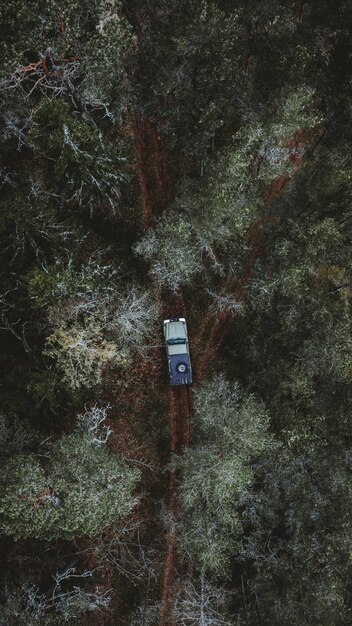 Auto fährt auf einem Weg in einem Wald
