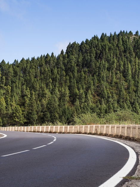 Autobahn mit schönen Bäumen Landschaft