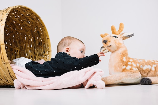 Baby im korb, der plüschrotwild berührt