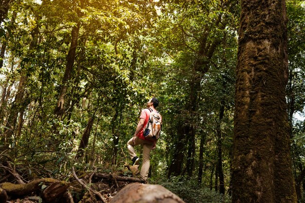 Backpacker erforscht Wald