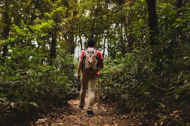 Backpacker Wandern im Wald