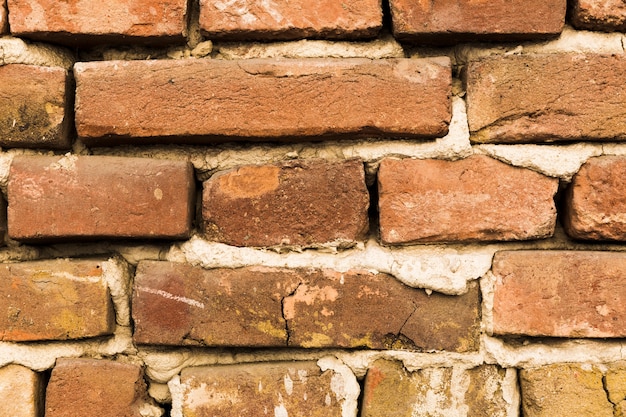 Backsteinmauer mit Zement