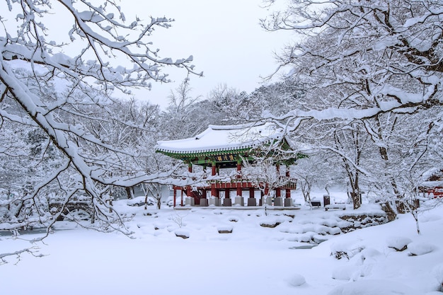 Baekyangsa Tempel und fallender Schnee, Naejangsan Berg im Winter mit Schnee, Berühmter Berg in Korea. Winterlandschaft