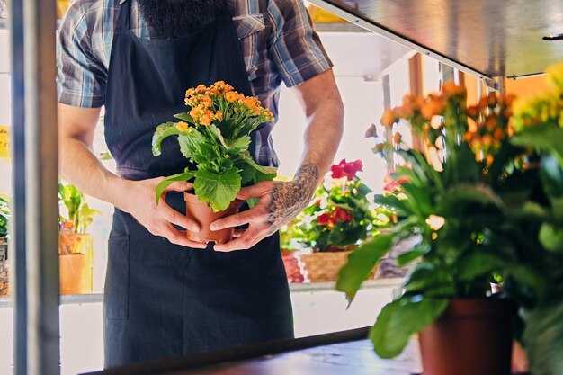 Bärtiger Mann mit tätowierten Armen hält einen Topf mit Blumen.