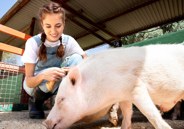 Kostenloses Foto bäuerin füttert die schweine