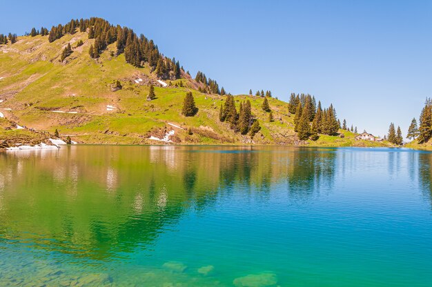 Bäume auf den Bergen in der Schweiz, umgeben vom See Lac Lioson