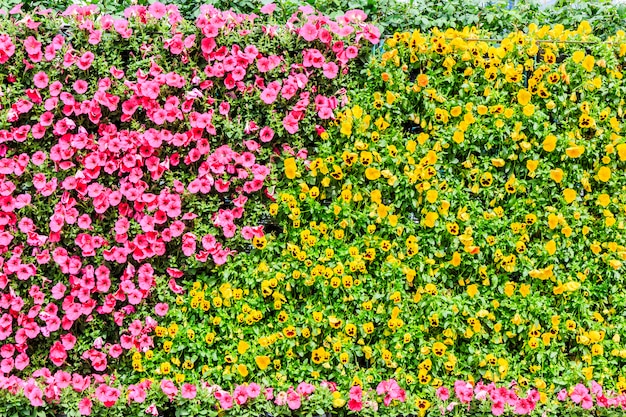 Bäume Garten weißes Gras im Freien grün