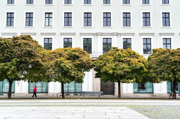 Kostenloses Foto bäume vor einem modernen weißen wohnhaus unter dem sonnenlicht am tag