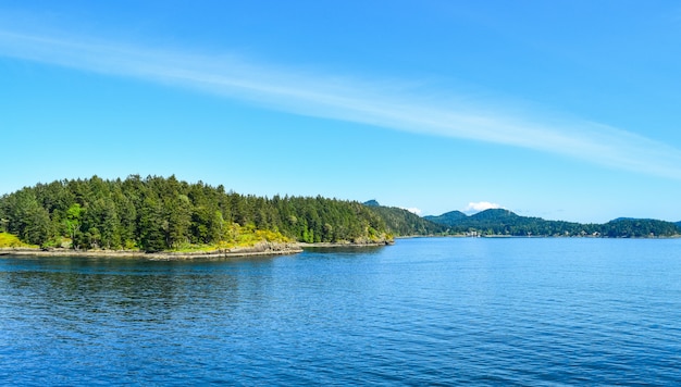 Bäume wachsen auf den Bergen vor dem Wasser