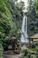 Kostenloses Foto bali-wasserfall, indonesien