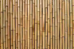 Kostenloses Foto bambus textur