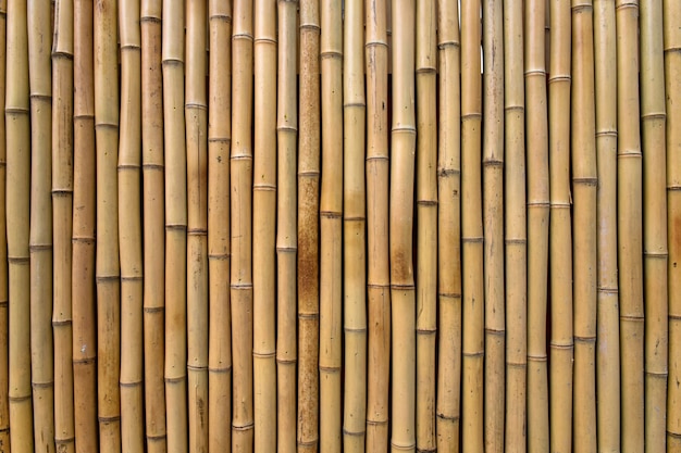 Bambus Textur