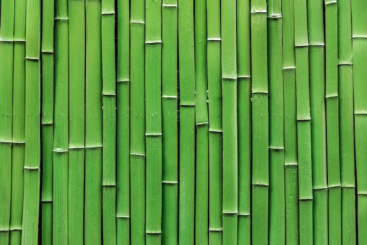 Kostenlose Foto bambusfloß