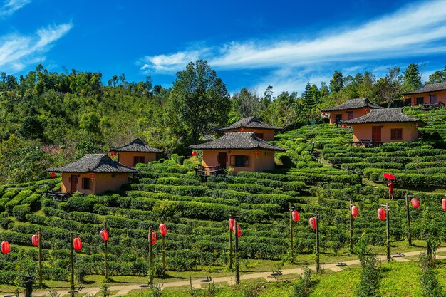 Ban Rak Thai in Mae Hong Sohn, Thailand.