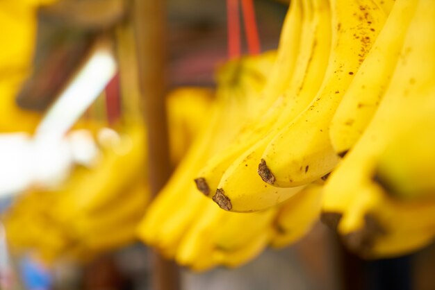 Bananen hängen an einem Seil