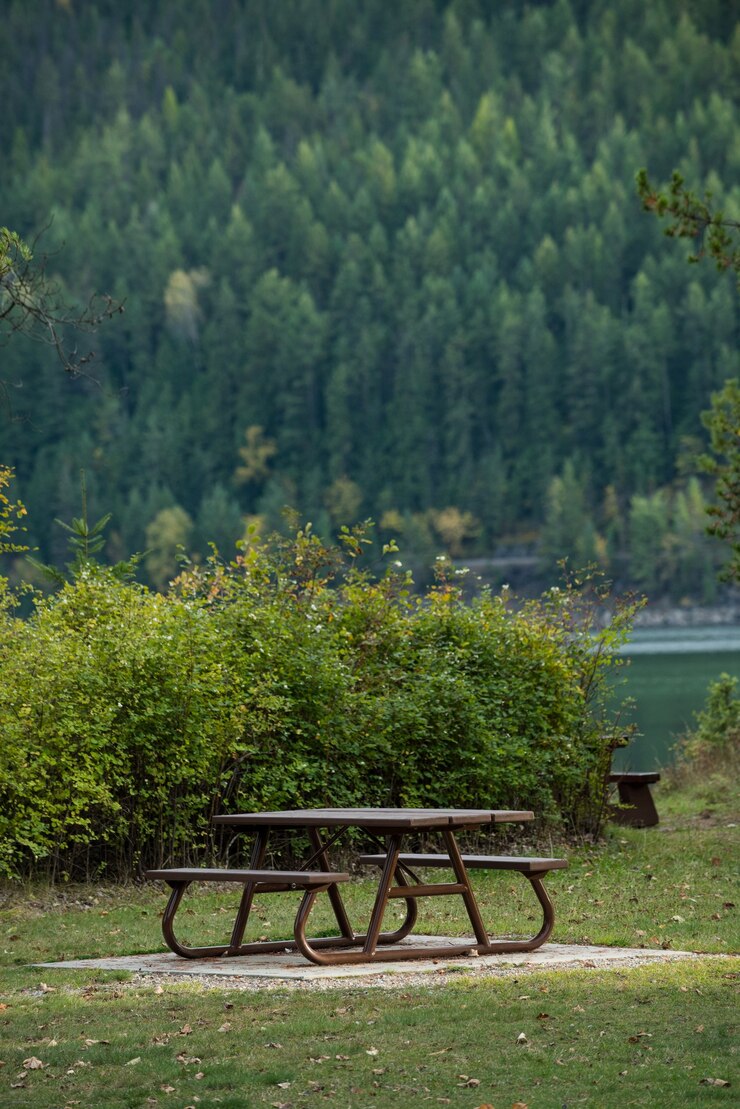 Kostenlose Foto bank neben einem see im waldpark