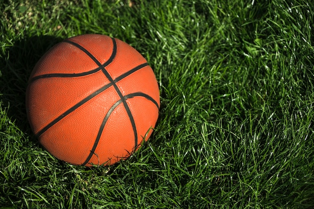 Kostenloses Foto basketball auf gras hautnah