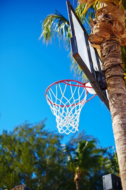 Basketballbrettring am Sommertag auf Palme des blauen Himmels und des grünen Baums