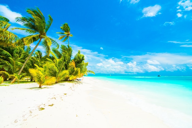 Baum Himmel Maldives Resort Lagune