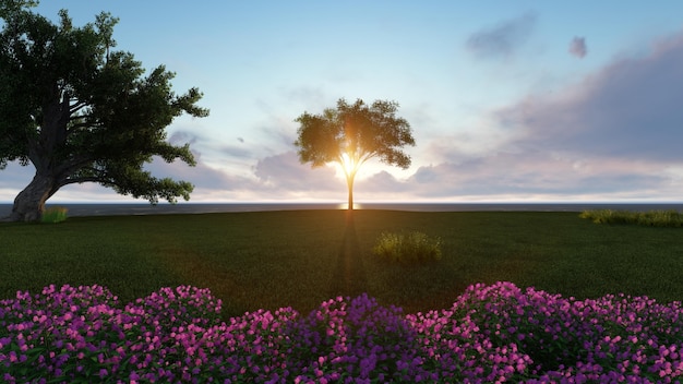 Baum mit Sonne hinter in einer grünen Wiese