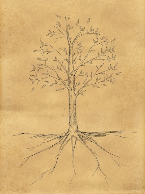Baum Skizze mit Blättern auf Papier