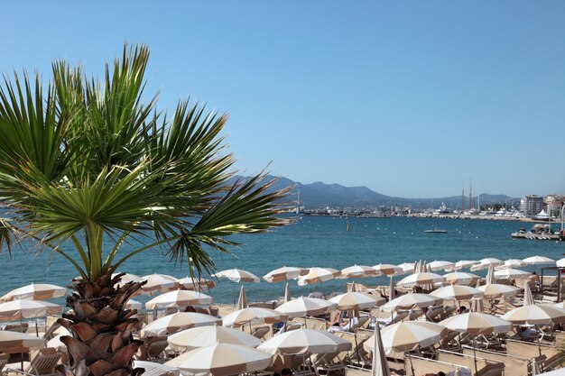 Beachfront Szene in Cannes Frankreich