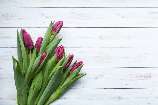 Beauti Blumen Hintergrund weißen Tag