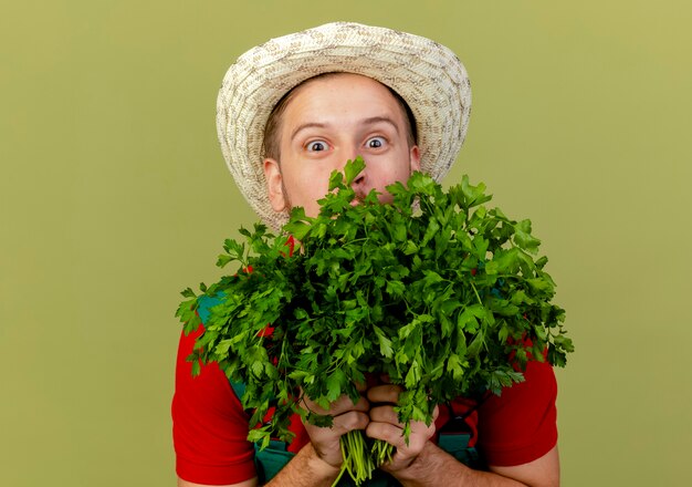 Beeindruckter junger hübscher slawischer Gärtner in Uniform und Hut, der Koriander von hinten davon lokalisiert auf olivgrüner Wand hält